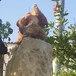 בית נופש Hills